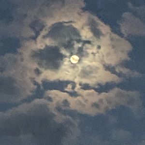 Meet your Posher, Liam